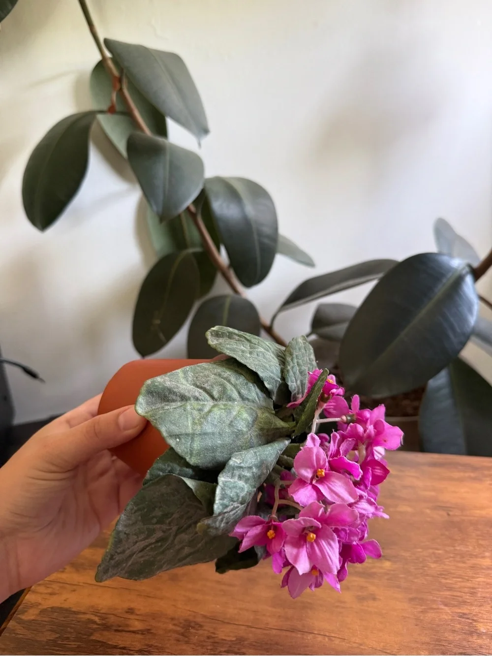 N/A beautiful pink